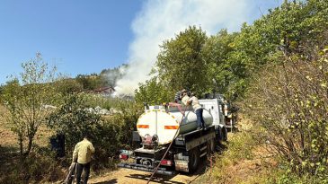 Son Dakika: Karab&uuml;k ve Bursa'da Orman Yangınları