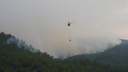 Son Dakika… Kastamonu'da İki Orman Yangını Üçüncü Gününde Sürüyor