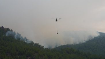 Son Dakika… Kastamonu'da İki Orman Yangını &Uuml;&ccedil;&uuml;nc&uuml; G&uuml;n&uuml;nde S&uuml;r&uuml;yor