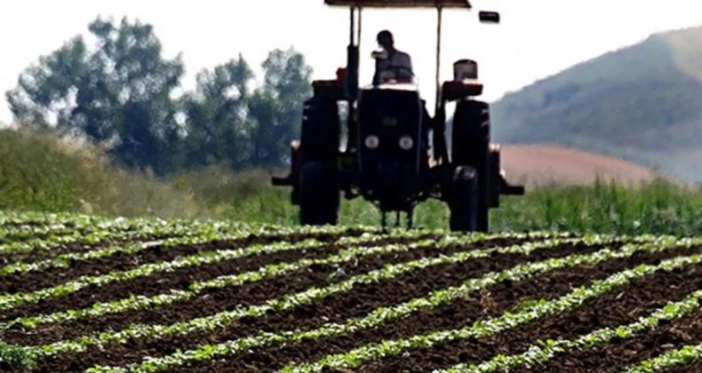 Tarım ÜFE Ağustosta Aylık Bazda Azaldı