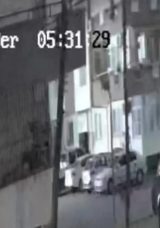 Yer Adana: &Ouml;r&uuml;mcek Gibi Binaya Tırmandı! Savunması Herkesi Şaşırttı