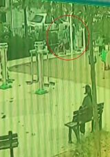 Yorgun Mermi Parkta Oynayan &Ccedil;ocuğu Yaraladı