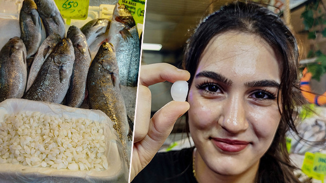 Yüksek Fiyatlarla Satılan Balıkların Eşsiz Taşları!