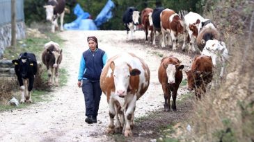 16 Yıl Sonra Eşinin K&ouml;y&uuml;ne Geldi! Devlet Desteğiyle Hayatı Değişti