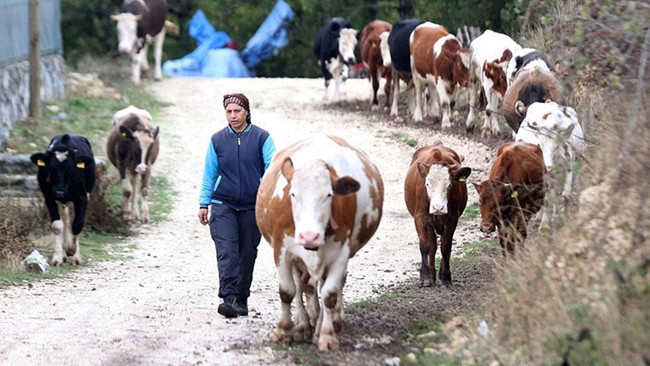 16 Yıl Sonra Eşinin Köyüne Geldi! Devlet Desteğiyle Hayatı Değişti