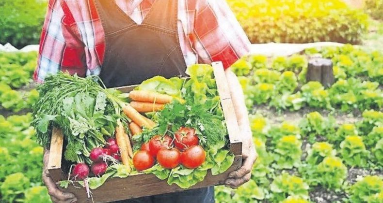 206’dan Fazla Tarım Ürünü Üretiyoruz