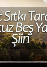 35 Yaş Şiiri: Cahit Sıtkı Tarancı'nın Otuz Beş Yaş Şiiri S&ouml;zleri, Anlamı ve Hikayesi