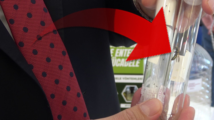 40 İlde 1 Milyondan Fazla Doğaya Salındı: Endişeler Hükümet Yetkililerince Yanıtlandı