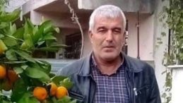 59 Yaşındaki Adamın Trajik Ölümü: Kestiği Ağacın Altında Kaldı!