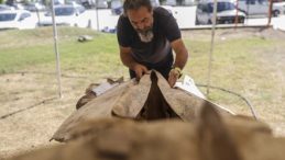 6 Günün Ardından Topraktan Çıkarıldı! 2026'da Herkes Görecek | 'Artık Kemiklerin Birleştirilmesi Süreci Başlıyor'