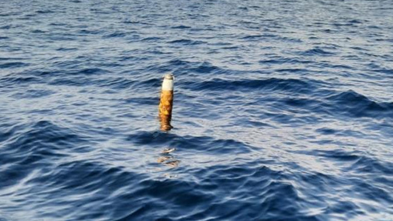 Salyangoz avcılığı