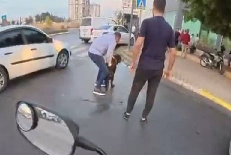 Köpek Saldırısı Anı