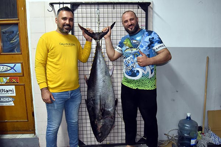 Orkinosun Boyutları