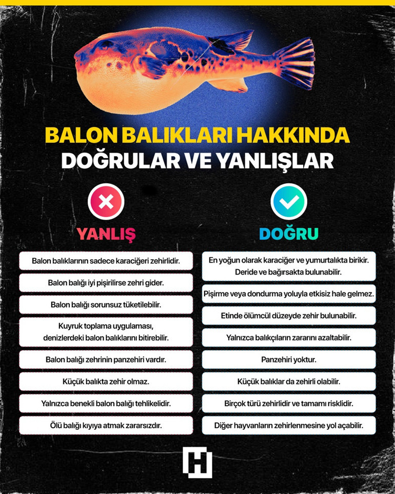 Zehirli balık türleri