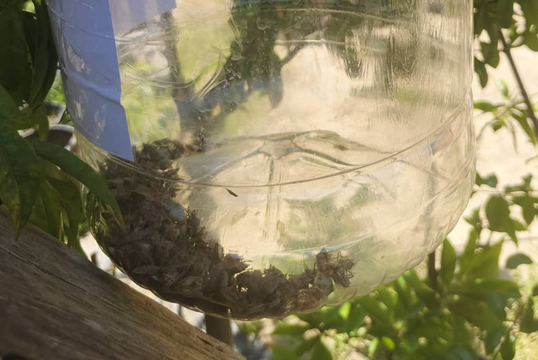 Kış Dönemi Mücadelesi