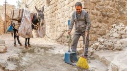 7 Yılda Emekli Olacaklar! Kadrolu Eşekler Sokaklarda Yıllardır Görevde | 'Artık Kademeli Olarak Emekli Olacaklar'