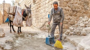 7 Yılda Emekli Olacaklar! Kadrolu Eşekler Sokaklarda Yıllardır G&ouml;revde | 'Artık Kademeli Olarak Emekli Olacaklar'