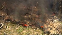 ABD'deki Mühimmat Tesisinde Patlama: Sağ Kalan Yok!