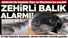 Akdeniz'den Ege ve Marmara'ya Yayılıyor: Tehlikeli Balık Alarmı! 27 Kişi Hayatını Kaybetti