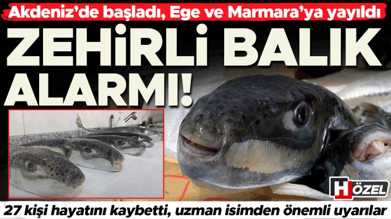 Akdeniz'den Ege ve Marmara'ya Yayılıyor: Tehlikeli Balık Alarmı! 27 Kişi Hayatını Kaybetti