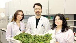 Anneanne Karışımı Yeni Bir Umut Sunuyor