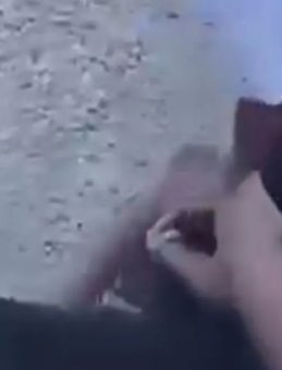 Arnavutköy'deki Şiddetli Kavga Kameralara Yansıdı: Yumruk ve Tekme Olayı!