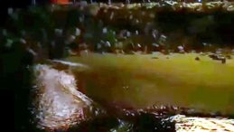 Arnavutk&ouml;y&rsquo;de deprem &ouml;ncesinde deniz &ccedil;ekildi