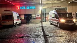 Ava Çıktı, Evlat Katili Oldu