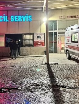 Ava Çıktı, Evlat Katili Oldu