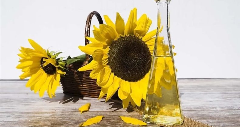 Ayçiçeği Yağı İçin Rusya'dan Gümrük Vergisi Kararı