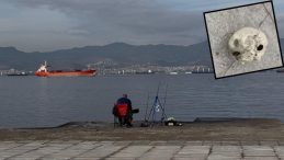 Balık Tutarken Korkunç Bir T经历 Müşteri: Oltaya İnsan Kafatası Takıldı