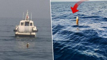 Balık&ccedil;ılar Salyangoz Avlarken Sıradışı Bir Cisimle Karşılaştı! Karadeniz'de Gizemli Bulgu | 'Geldiler, Cisme Bakıp Aldılar'