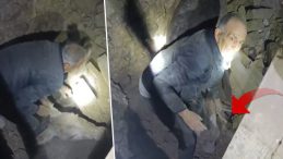 Balıkesir'deki Depremde Ahır Yıkıldı! En kaz Altındaki Eşek Kahramanca Kurtarıldı | 'Ahırın Yıkıldığını Görünce İçim Yandı'