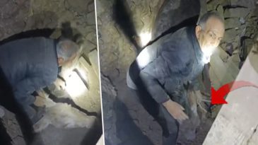 Balıkesir'deki Depremde Ahır Yıkıldı! En kaz Altındaki Eşek Kahramanca Kurtarıldı | 'Ahırın Yıkıldığını G&ouml;r&uuml;nce İ&ccedil;im Yandı'