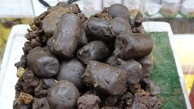 Bin bir emekle temize çekiliyor, 50 gramını bin 250 liradan satıyor | 'Bunu uzaya çıkmış olan Alper Gezer Avcı'ya ulaştırmak istiyorum'