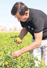 Binlerce Yıllık Ata Tohumları Karatay&rsquo;da Hayat Buluyor