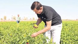 Binlerce Yıllık Ata Tohumları Karatay’da Hayat Buluyor