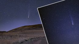 Bitlis semalarında 'Lemmon' görüntülendi! 'Her zaman beni büyülemiştir'