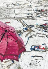 Bu Havalar Sert Kışın Habercisi