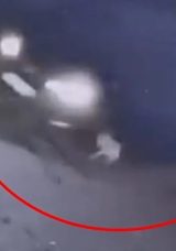 Bursa'da cip k&ouml;peğe &ccedil;arptı: S&uuml;r&uuml;c&uuml; arkasına bakmadan ka&ccedil;tı! O anlar kamerada