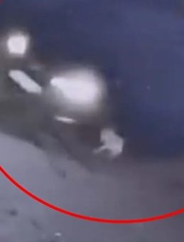 Bursa'da cip köpeğe çarptı: Sürücü arkasına bakmadan kaçtı! O anlar kamerada