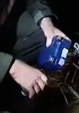 Bursa'da Yaban Hayvanlarını Avlamak İ&ccedil;in Kurulan D&uuml;zenekler Ele Ge&ccedil;irildi! 'Doğaya Karşı Su&ccedil;a Ge&ccedil;it Yok'