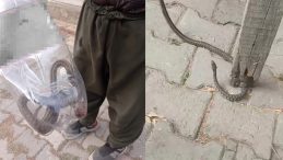 Bütün mahalle diken üstünde! 3 gün 3 gece nöbet tuttular: Duvar diplerinde…