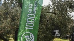 Cargill&rsquo;in 1000 &Ccedil;ift&ccedil;i 1000 Bereket Programı Yedinci Yıld&ouml;n&uuml;m&uuml;nde