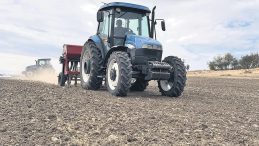 Çiftçinin Umudu Kanola Oldu