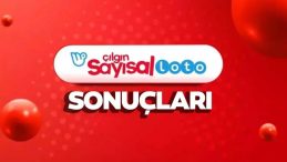 Çılgın Sayısal Loto Sonuçları 27 Ekim 2025 Açıklandı mı? Milli Piyango Online ile Sonuç Sorgulama