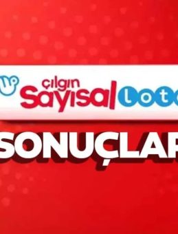 Çılgın Sayısal Loto Sonuçları 29 Ekim 2025 Açıklandı mı? Milli Piyango Online ile Sonuç Sorgulama