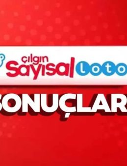 Çılgın Sayısal Loto Sonuçları Açıklandı mı? Milli Piyango Online ile Sonuç Sorgulama