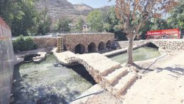 Değirmen Tabanında 1500 Yıllık Mozaik Bulundu