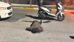 Dehşet Saçan Bıçaklı Katil 14 Yaşında